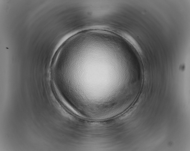 X0000090901436200708201708