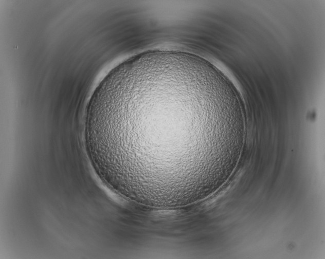 X0000090901437200708201708