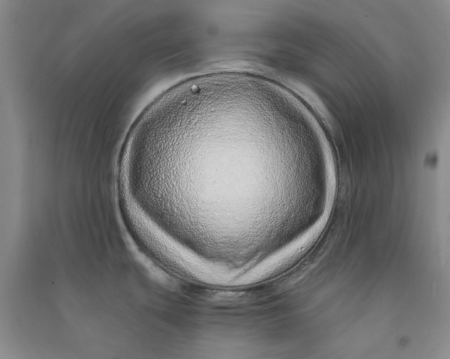 X0000090901439200708201708