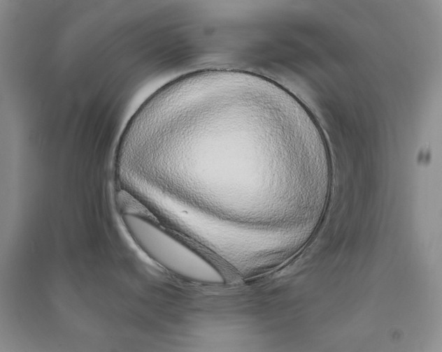 X0000090901440200708201708