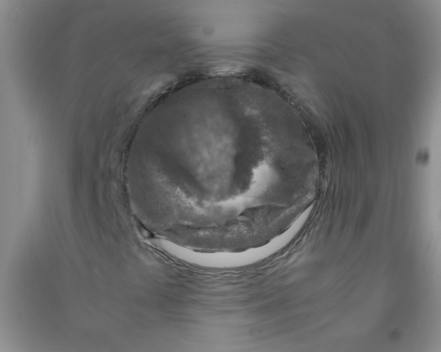 X0000090901441200708201707