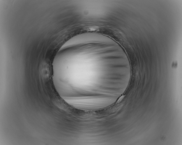 X0000090901442200708201707