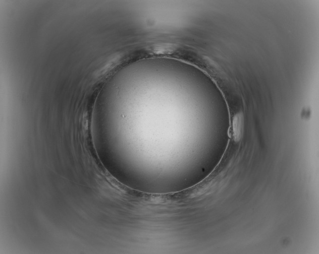 X0000090901443200708201707