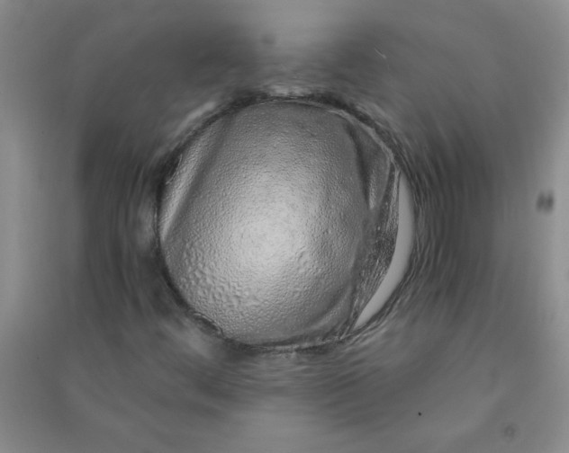 X0000090901444200708201707