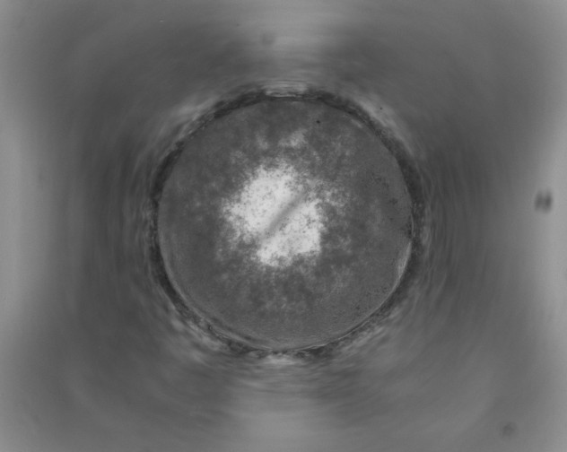 X0000090901445200708201707