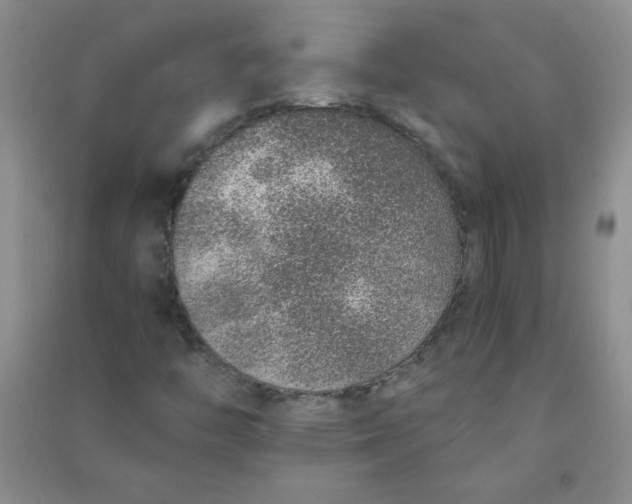 X0000090901446200708201707