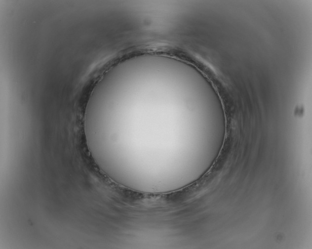 X0000090901447200708201707