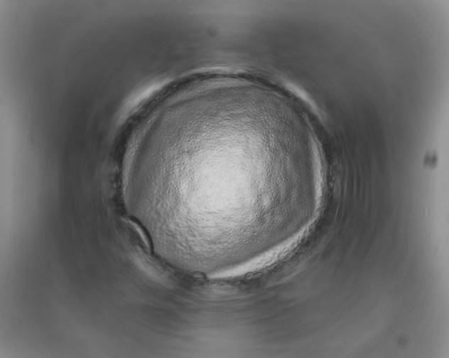 X0000090901448200708201707