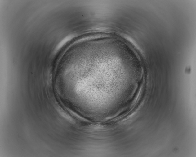 X0000090901450200708201707