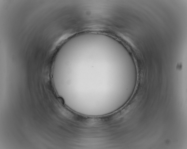 X0000090901451200708201707