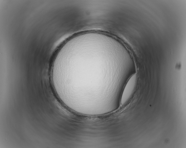 X0000090901452200708201707