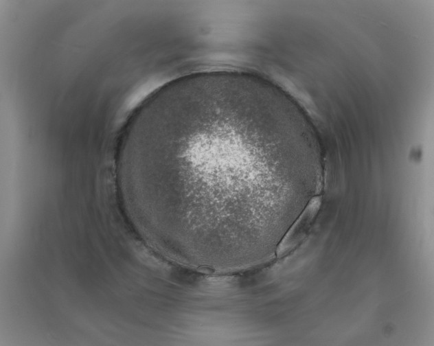 X0000090901453200708201707