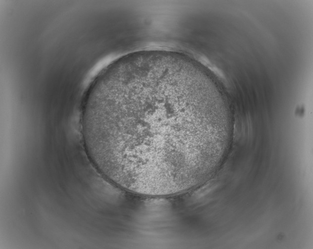 X0000090901454200708201707