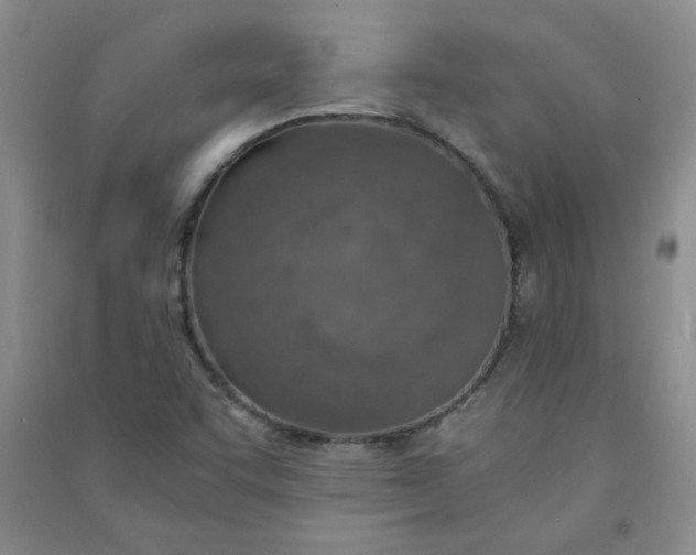 X0000090901455200708201707