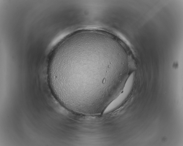 X0000090901456200708201707