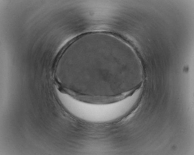 X0000090901457200708201707