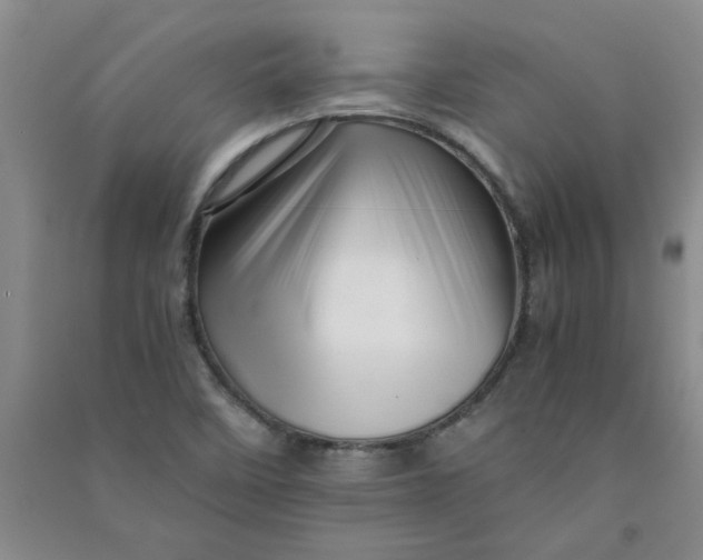 X0000090901458200708201707