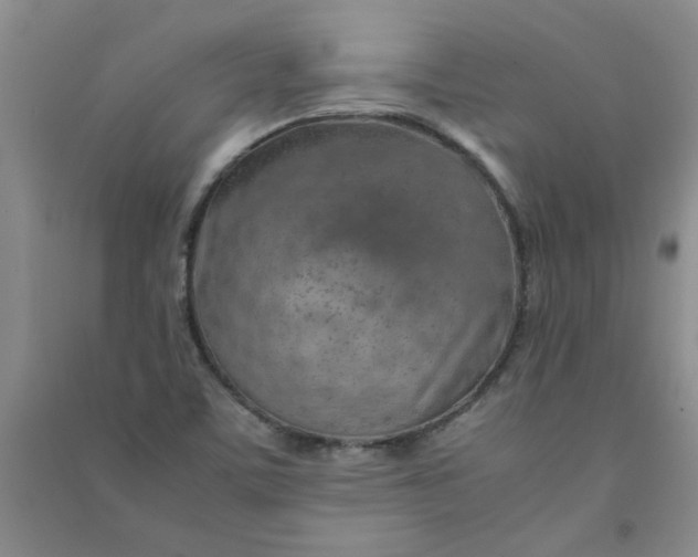 X0000090901459200708201707