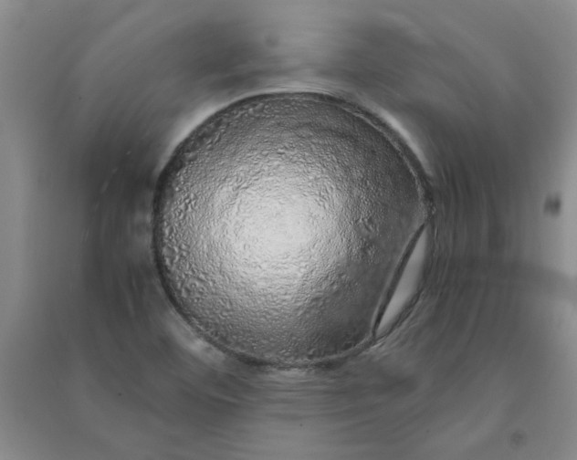 X0000090901460200708201707