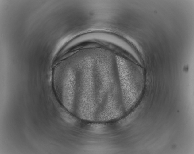 X0000090901461200708201707