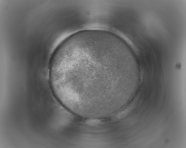 X0000090901462200708201707