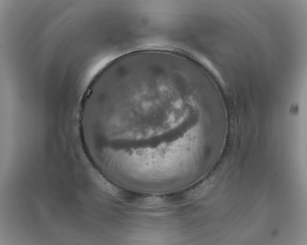 X0000090901463200708201707