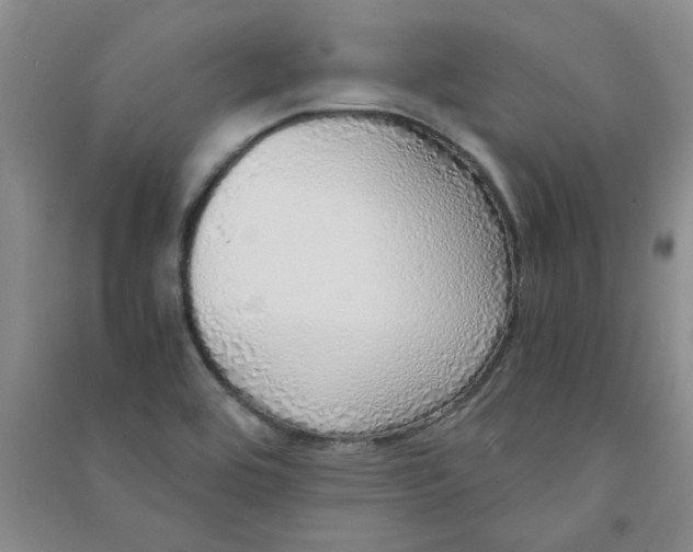 X0000090901464200708201707