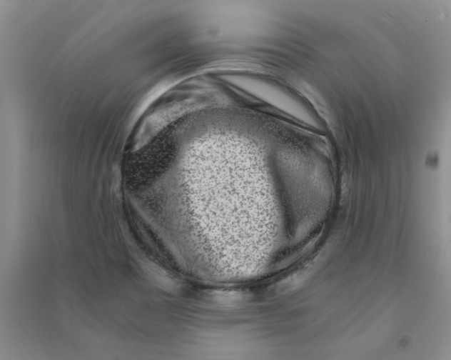 X0000090901465200708201707