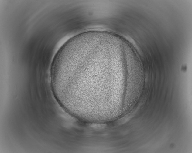 X0000090901466200708201707