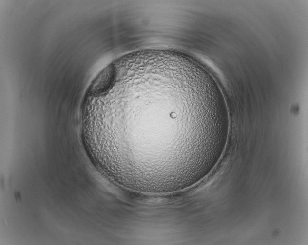 X0000090901467200708201707