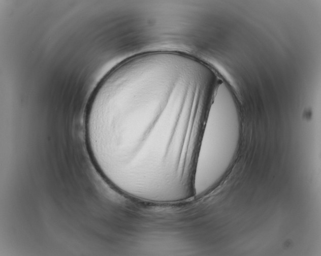 X0000090901468200708201707