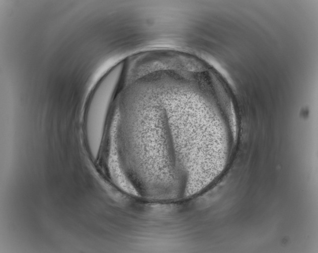 X0000090901469200708201707