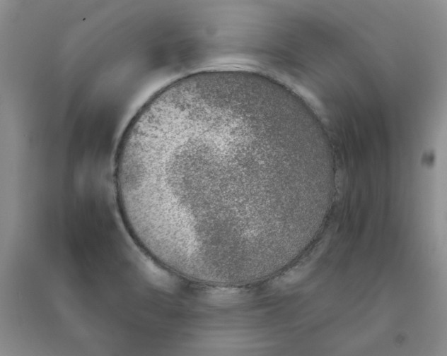 X0000090901470200708201707