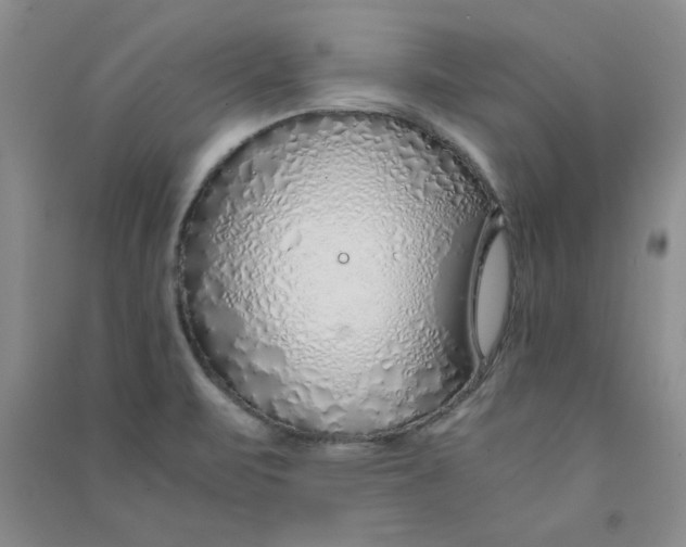 X0000090901471200708201707