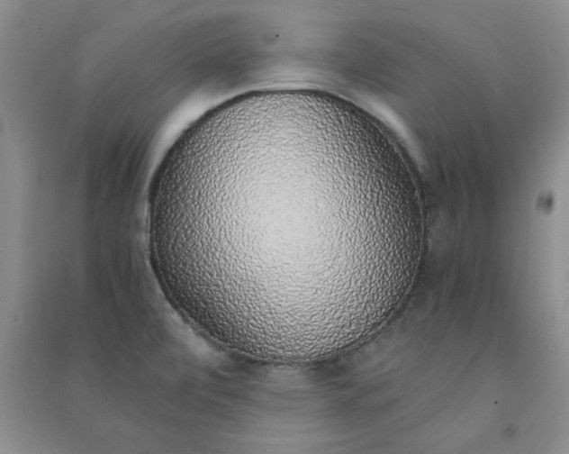 X0000090901472200708201707