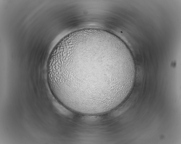 X0000090901474200708201706