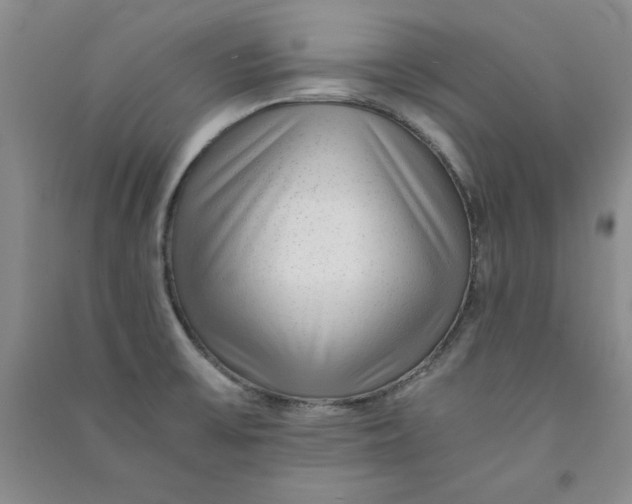 X0000090901475200708201706