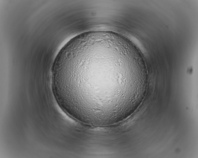 X0000090901476200708201706