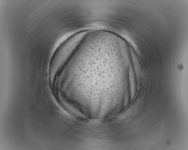 X0000090901477200708201706