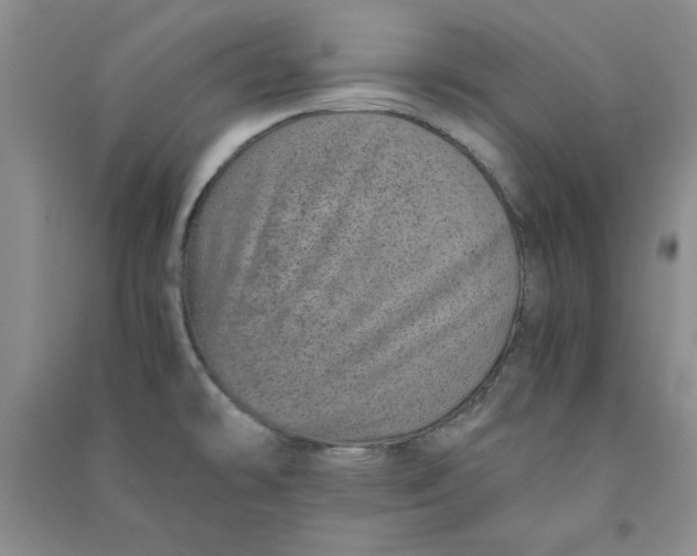 X0000090901478200708201706