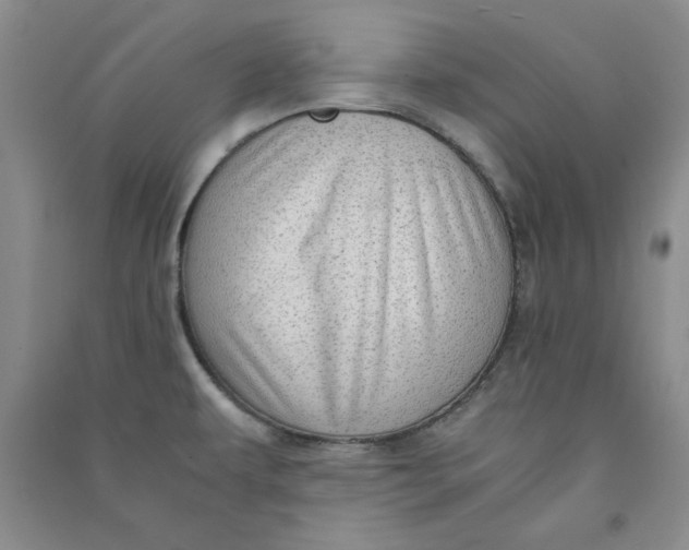 X0000090901479200708201706