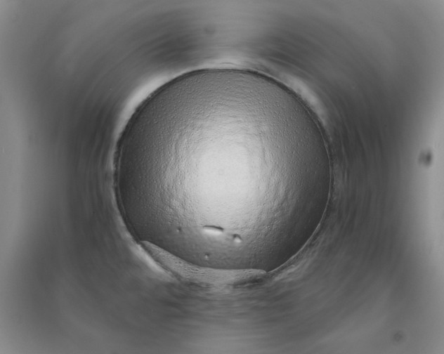 X0000090901480200708201706