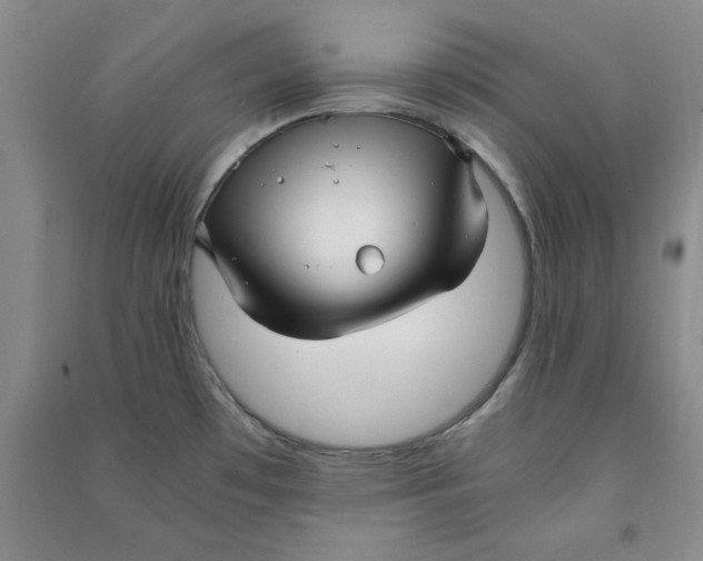 X0000090901481200708201706