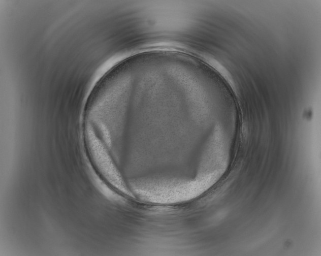 X0000090901482200708201706