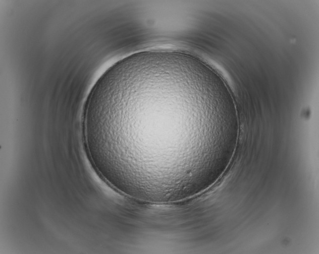 X0000090901483200708201706