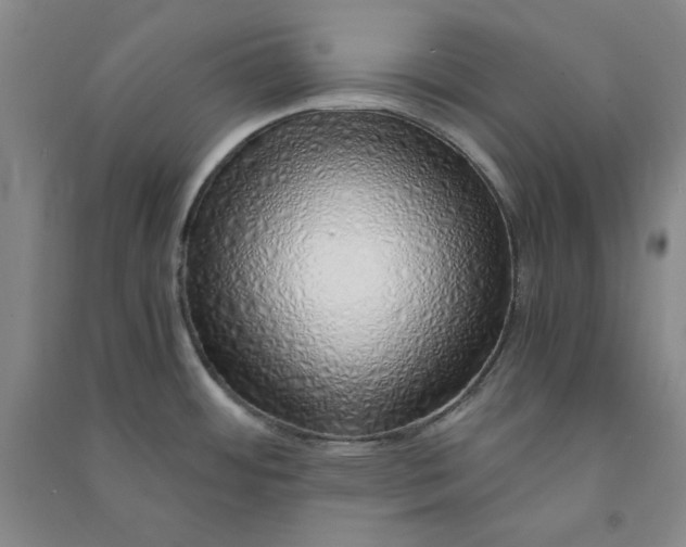 X0000090901484200708201706