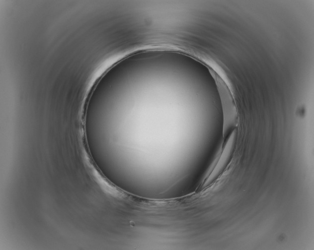 X0000090901485200708201706