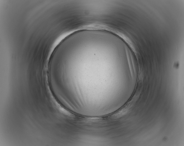 X0000090901486200708201706