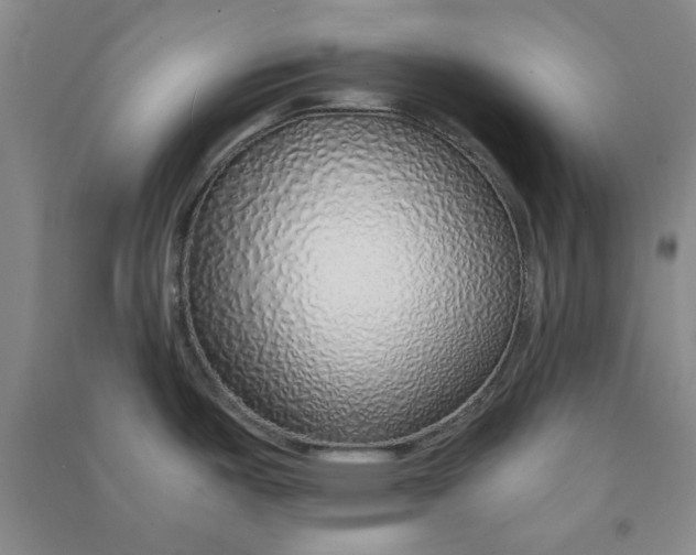 X0000090901487200708201706