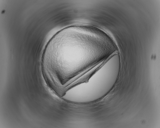 X0000090901488200708201706